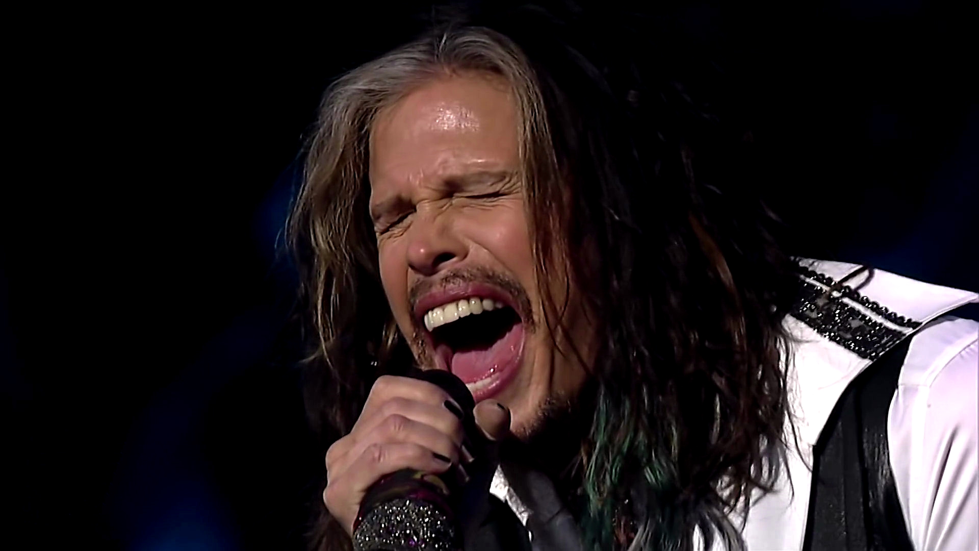 Aerosmith Steven Tyler I Don't Want To Miss A Thing Isolated